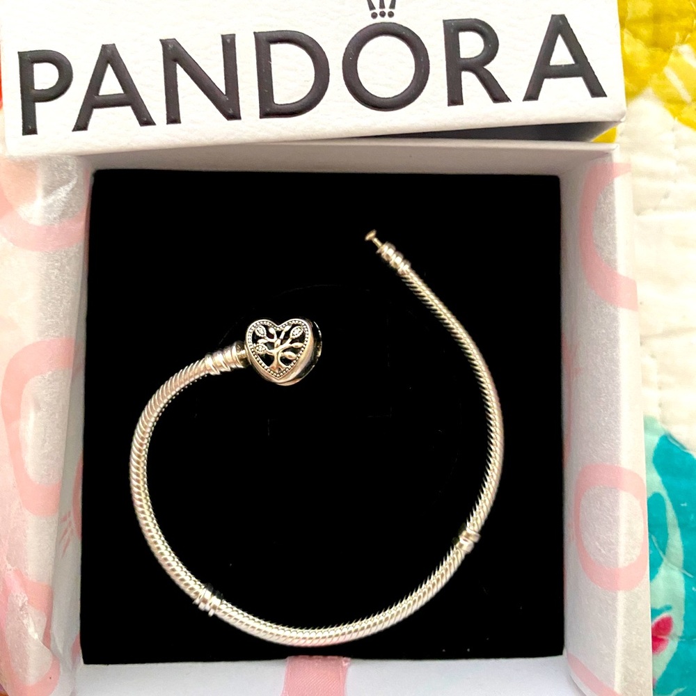 Pandora bracelet